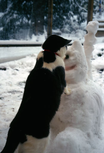 Study in Snow #3. by Joseph Howse. Portraying Plasma Tigerlily Zoya with Samuel Howse's sculpture of Dr. L. S. River, NummNumm. February 2006.